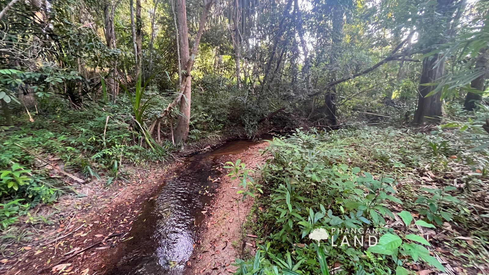 Koh Phangan Land for Sale