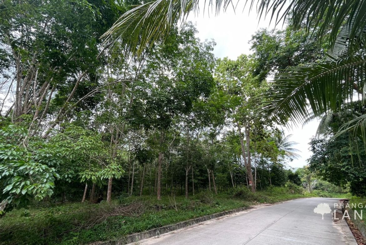 Koh Phangan Land for Sale