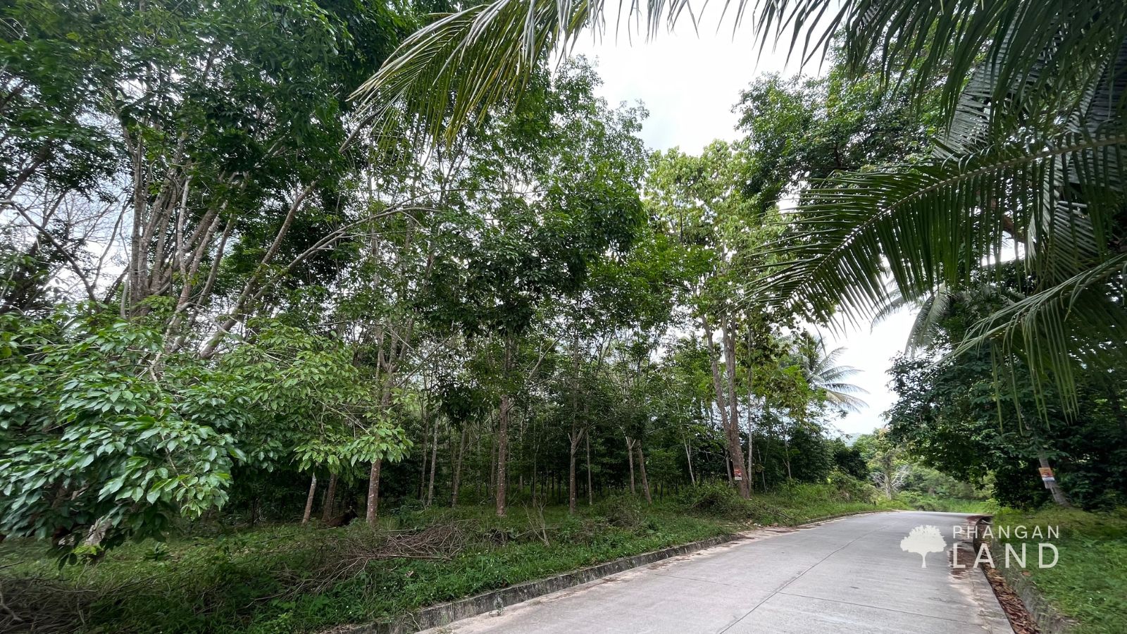 Koh Phangan Land for Sale