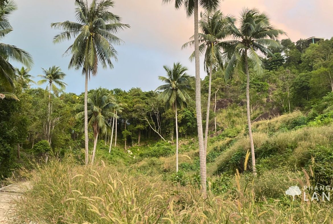 Land on Koh Phangan
