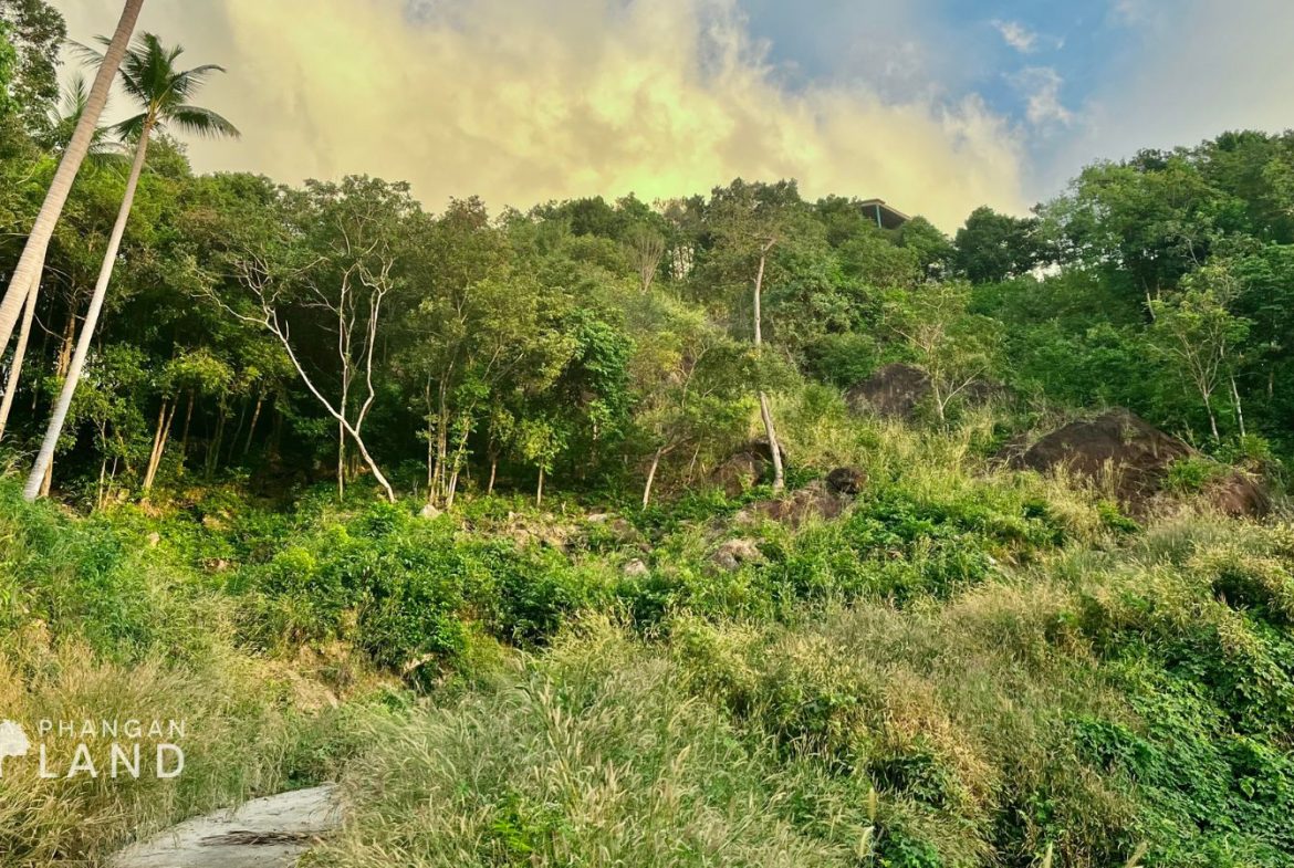 Land on Koh Phangan