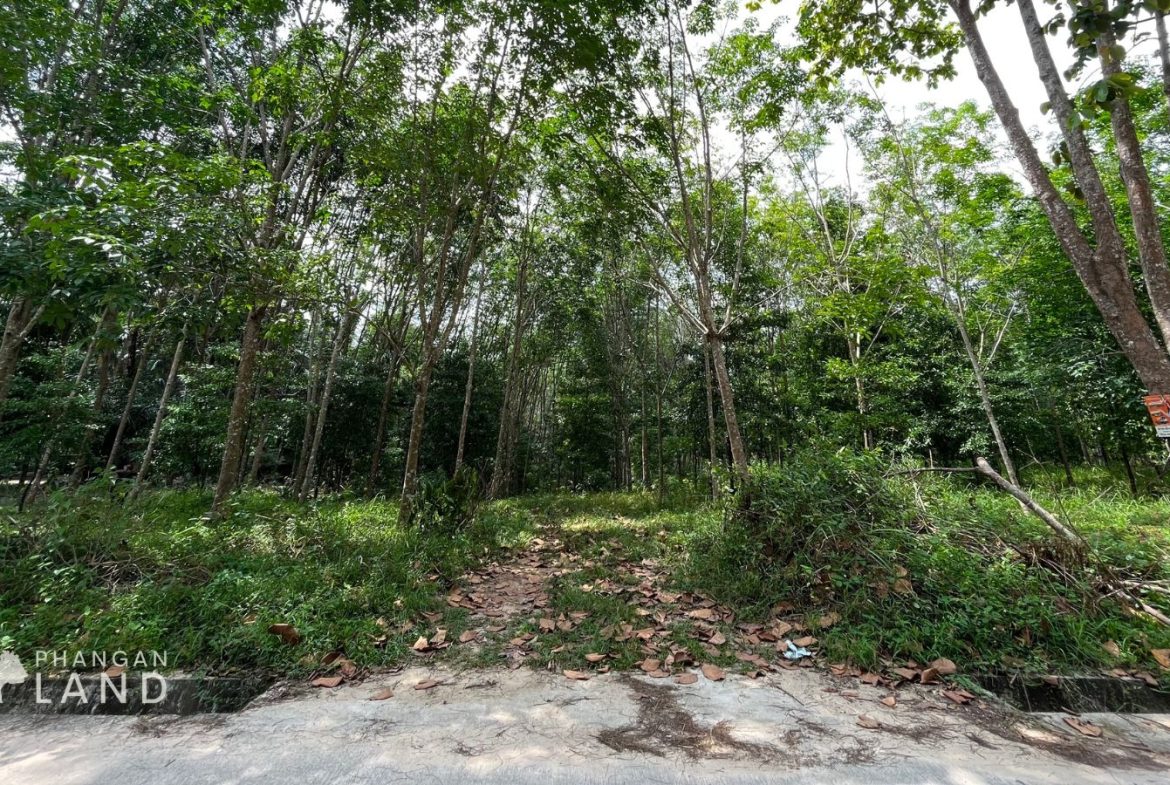 Koh Phangan Land for Sale