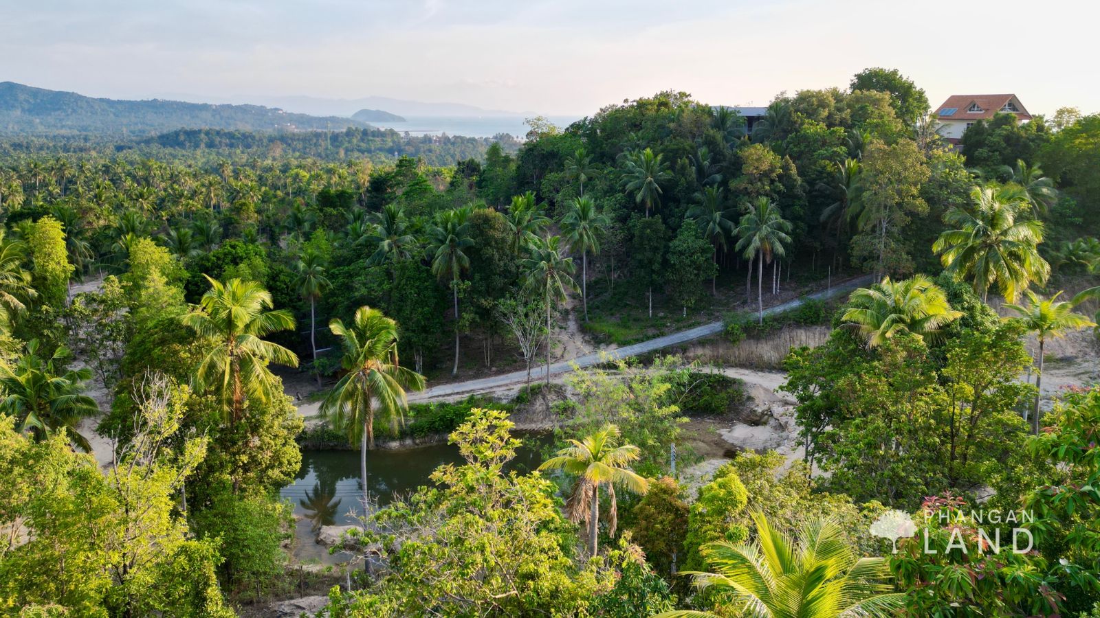 Koh Phangan Land for Sale