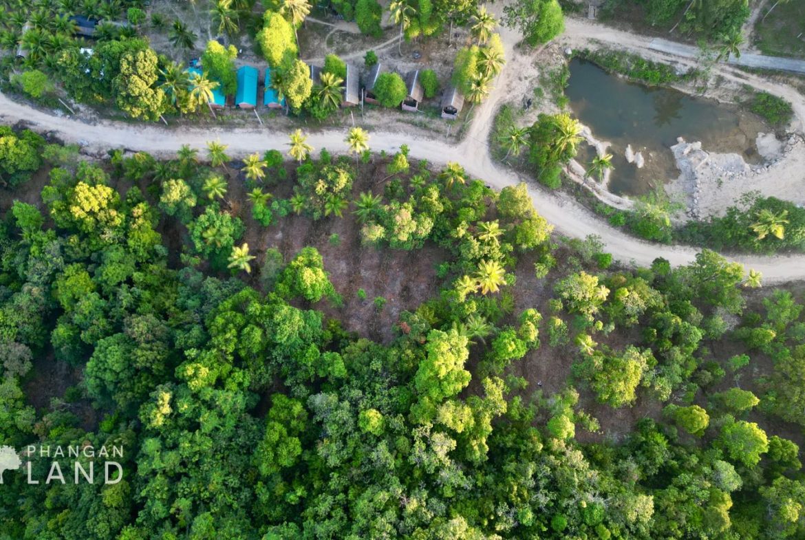 Koh Phangan Land for Sale