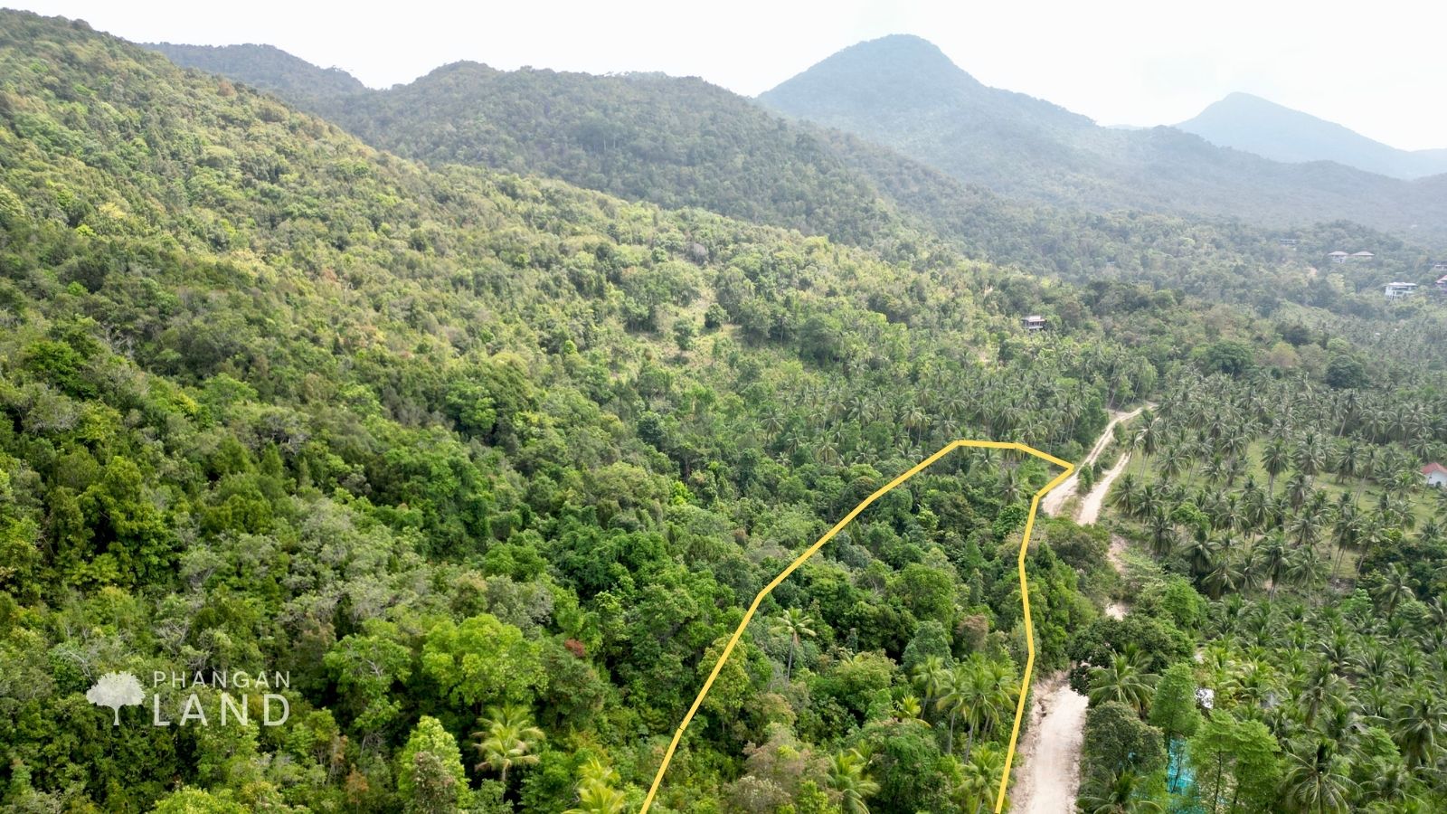 Koh Phangan Land for Sale