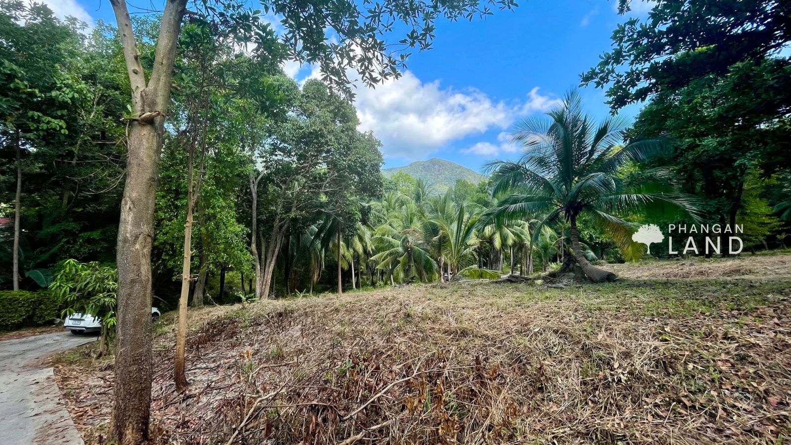 Koh Phangan Land for sale