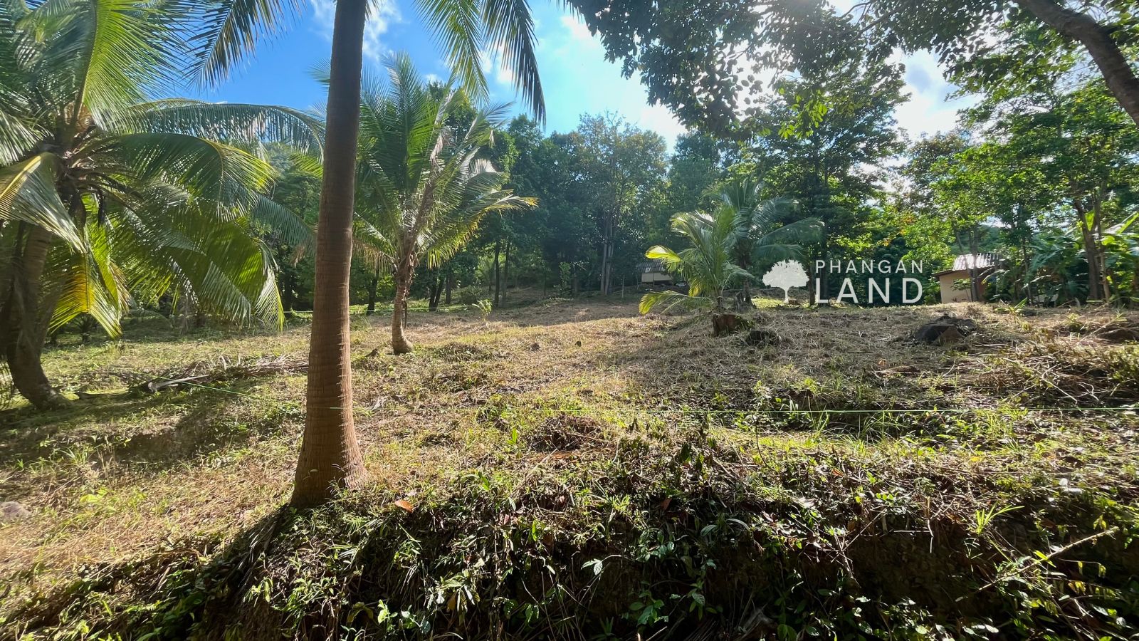 Koh Phangan Land for sale