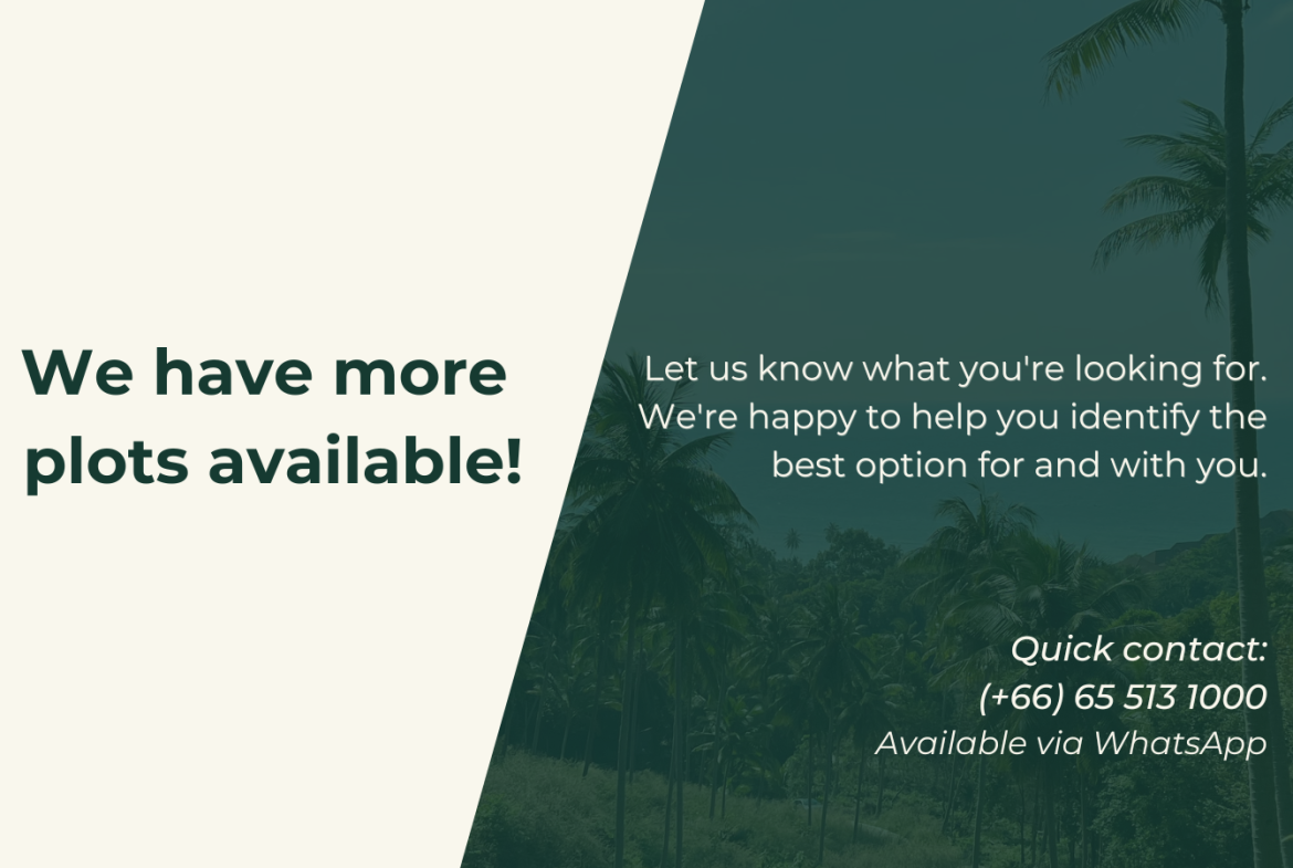 Land for Sale, Koh Phangan