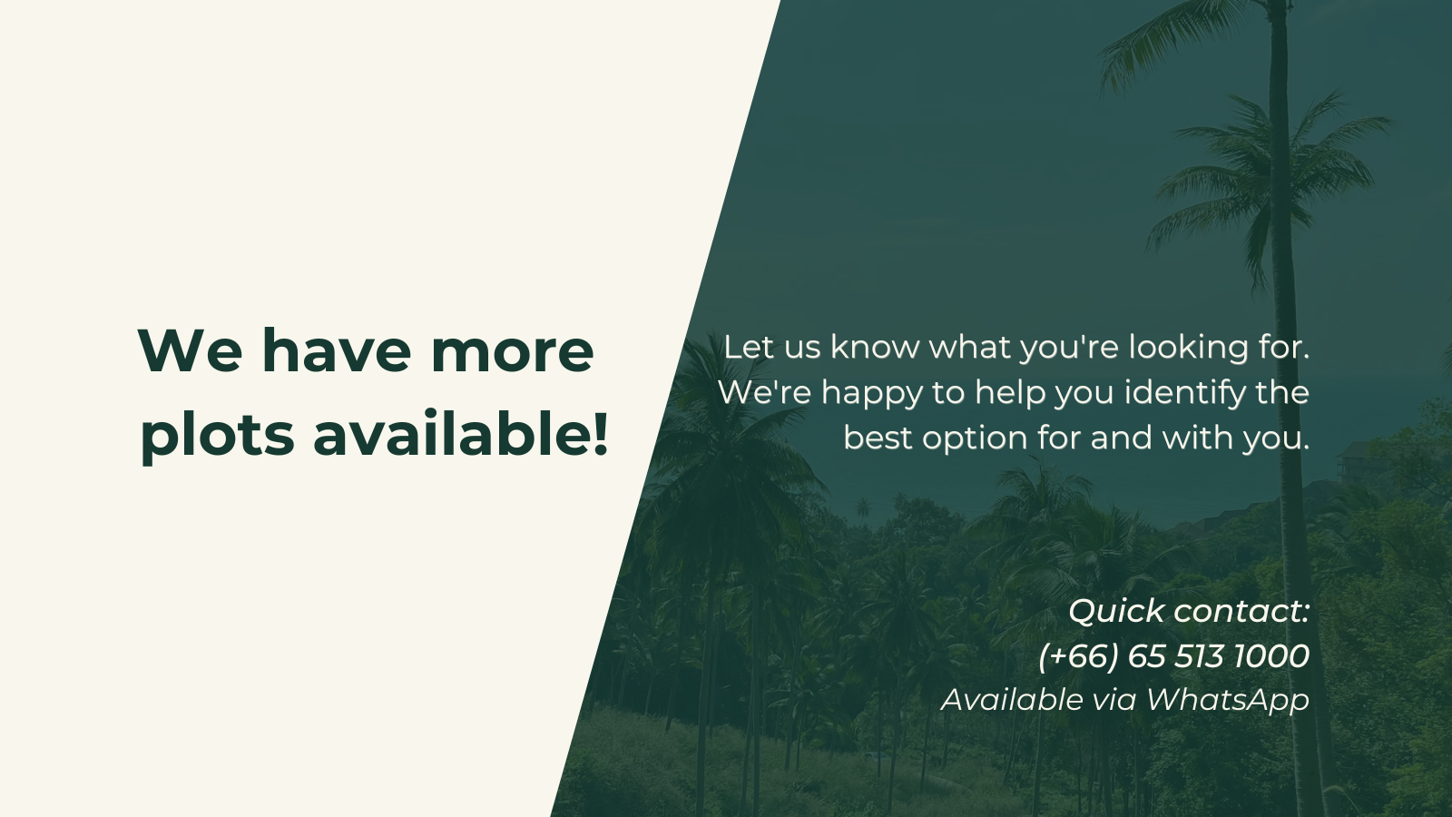 Land for Sale, Koh Phangan